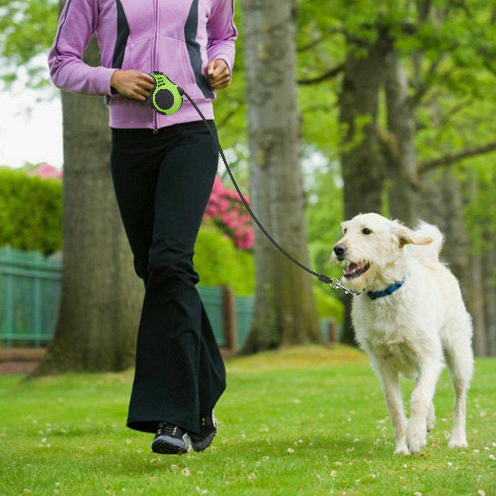 Automatic Retractable Dog Leash Pet Collar Automatic Walking Lead Free Leash